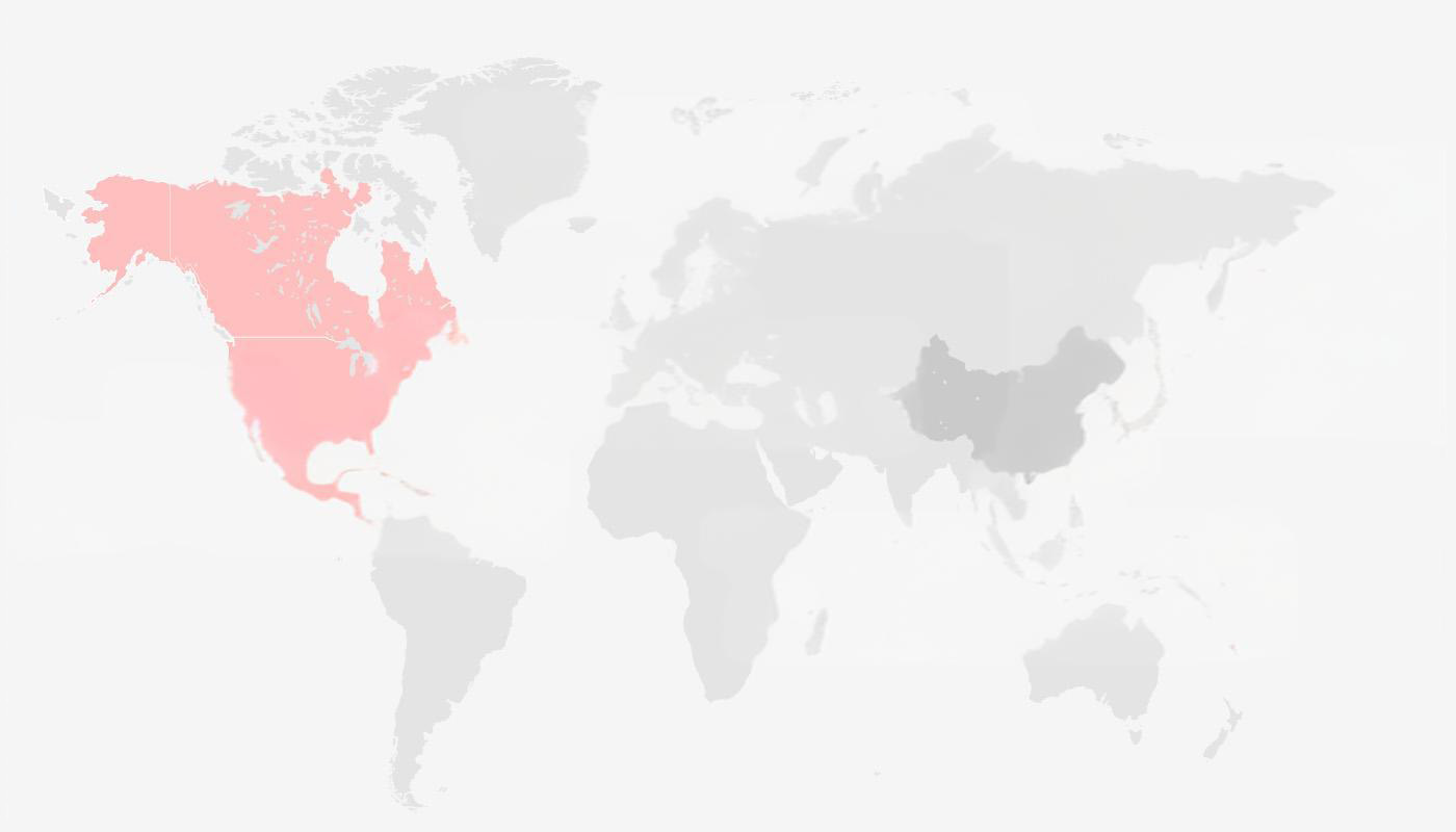 World Map